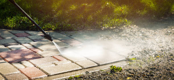 Animal Enclosure Cleaning in Brockway, PA